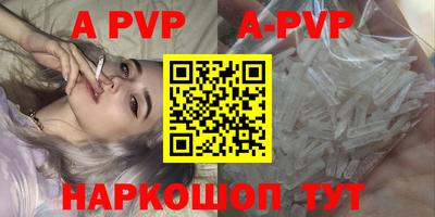 СК Вышний Волочёк