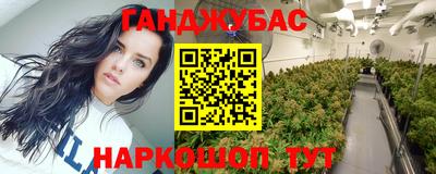СК Вышний Волочёк