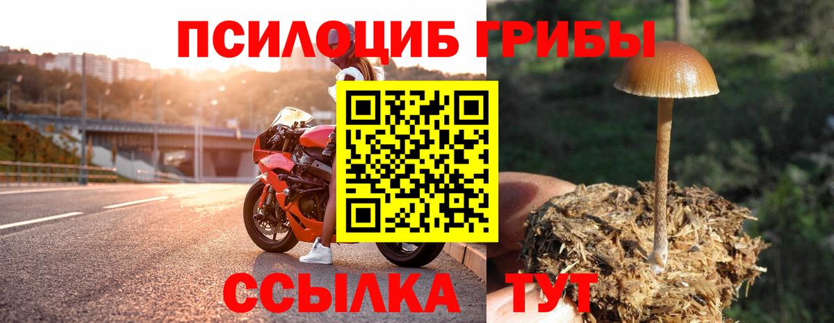 Псилоцибиновые грибы прущие грибы Красноуфимск